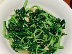 -杨厨的田园饭店(长城路店)