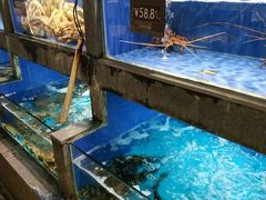 水产区-徐记海鲜(陕西历史博物馆|明德门店)