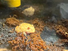 -绿色星球动物主题公园