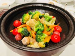 -西郊5号·Maggie 5