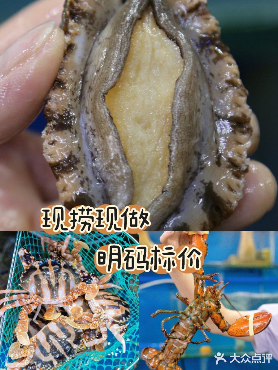 海口不能错过的爆款海鲜‼️小胡子海鲜