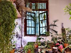 -循礼门鲜花花市(武汉循礼门店)