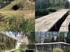 -前小桔亲子创意农场·草莓采摘·露营烧烤