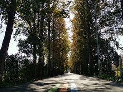 -上海长兴岛郊野公园