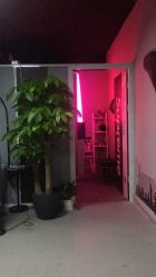 -极昼美黑24H日晒沙龙