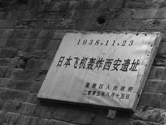 -老字号贾家肉丸糊辣汤(光明巷店)