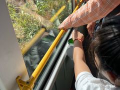 -黑瞎子岛探秘野熊园