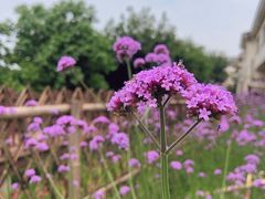 -上海市保健医疗中心