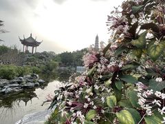 -顺峰山公园