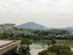 -佘山世茂艾美·御珍轩中餐厅