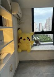 点击看大图 -匠凡皮肤管理工作室