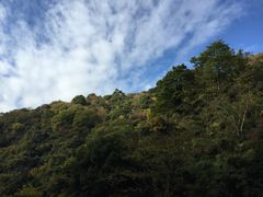 -神户市立六甲山牧场