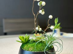 -东莱海上(长宁来福士店)