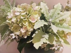 -Dragonfly悠庭·按摩Spa(静安嘉里中心店)