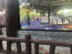 -清迈夜间动物园