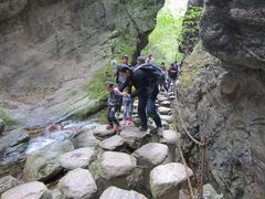 -牛背梁国家森林公园