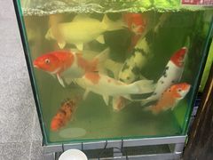 -老姐石板烧烤+铜炭火锅(总店)