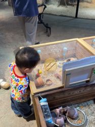 -酷嗒动物文化乐园(cutezoo西溪乐天城店)