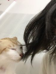 -OnHair Salon