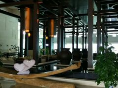 -河源万绿湖美思威尔顿酒店