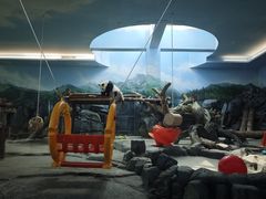 -武汉动物园
