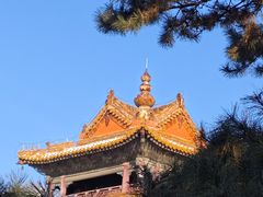 -北陵公园