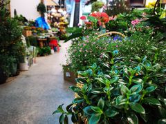 -双季花艺园艺市场(浦东店)