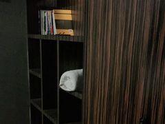 -麦舍MaiMassage(张杨路店)