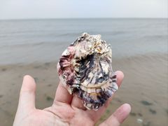 -烟台金沙滩海滨公园
