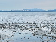 -深圳湾公园(南山区)