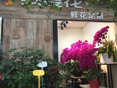 -溪岸路花鸟市场