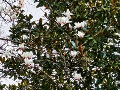 -徐家汇源景区-衡山公园