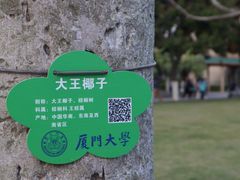 -厦门大学(思明校区)