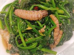 虾爬肉炒菠菜-双井轩(双井店)