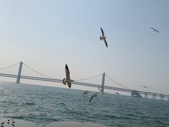 -星海广场