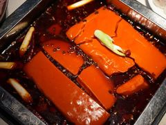 -红鼎坊·老成都火锅(新南门店)