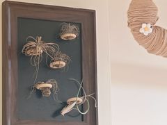 -本無咖啡·BeanWood Coffee