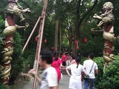 -杭州黄龙洞
