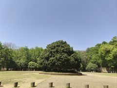 -灵谷景区