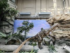 -国家自然博物馆