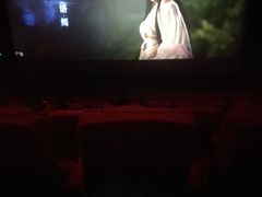 -山文星辉影城(青岛和谐广场店)