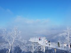 -亚布力新体委滑雪场