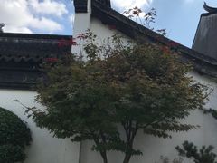 -檀园