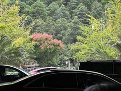 -大理实力希尔顿酒店•御玺中餐厅