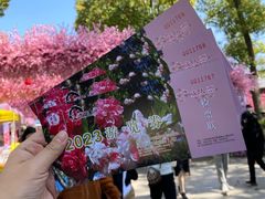 -南汇桃花村