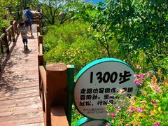 -大岭沟猕猴桃谷风景区