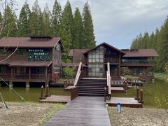 -黄海国家森林公园