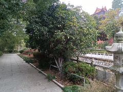 -开福禅寺