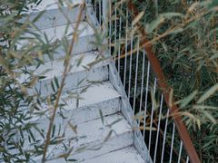 -秦岭终南山世界地质公园翠华山景区