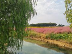 -江苏三台山国家森林公园